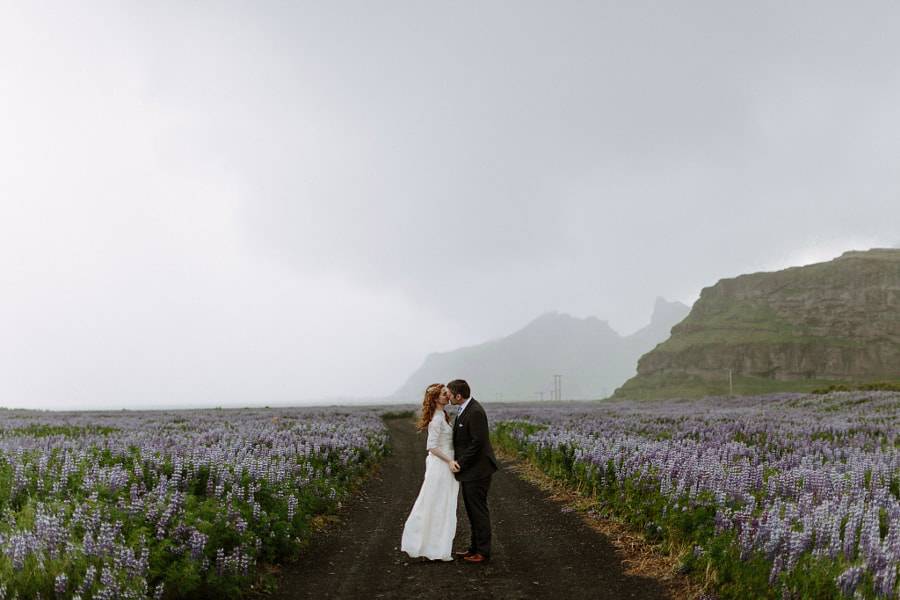 Iceland Wedding in a Field of Lupines by Levi Tijerina on 500px