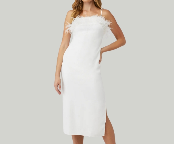 Harley Dress Image 1