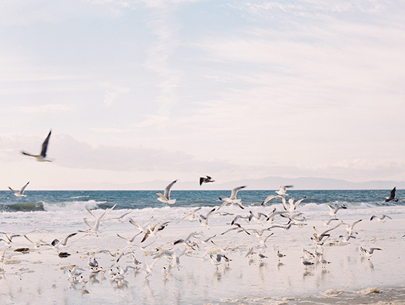 Wild beach shoot by Lauren Albanese