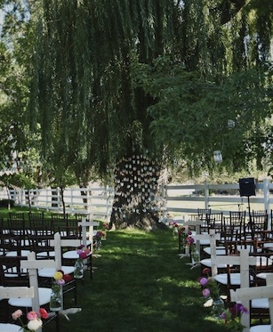 DIY Picnic Wedding: 500 Paper Cranes Under The Willow Tree