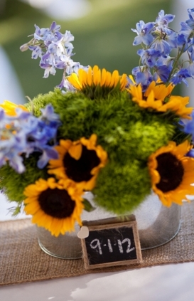 Rustic Blue and Yellow Wedding from Kim J Martin Photography