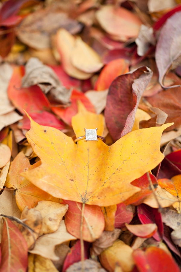Fun Fall Engagement Session from Robyn Van Dyke Photography