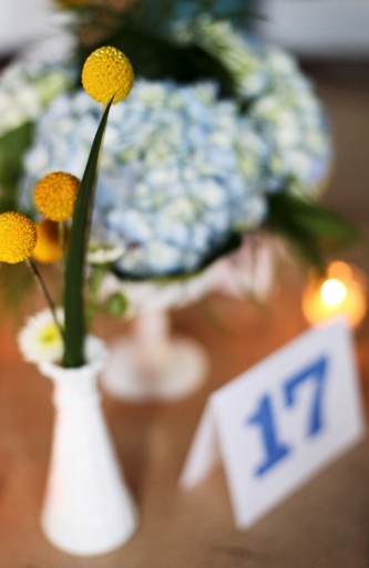 Yellow and Blue Rustic Elegant Wedding