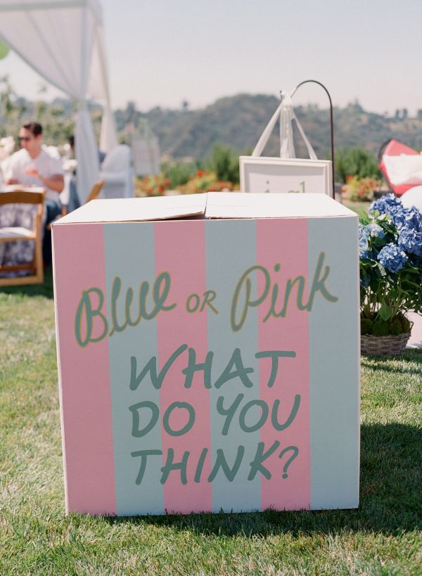 Inspired by Giuliana and Bill Rancics Pink and Blue Baby Shower