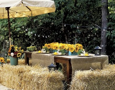Hay Seating