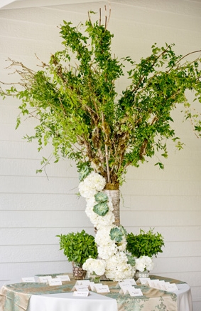 Organic Succulent and Herb Wedding