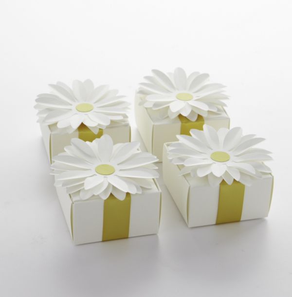 Inspired by This Daisy Party by Darcy Miller