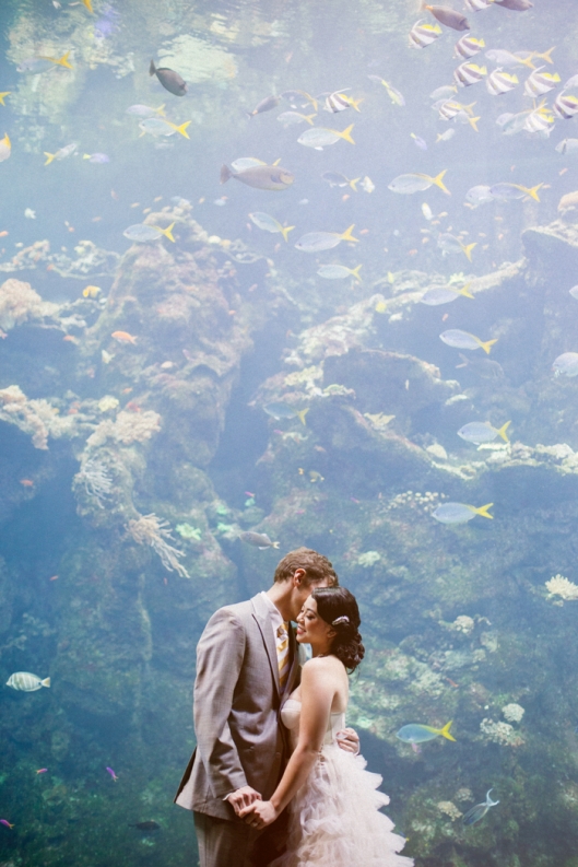 California Academy of Science Wedding by This Modern Romance
