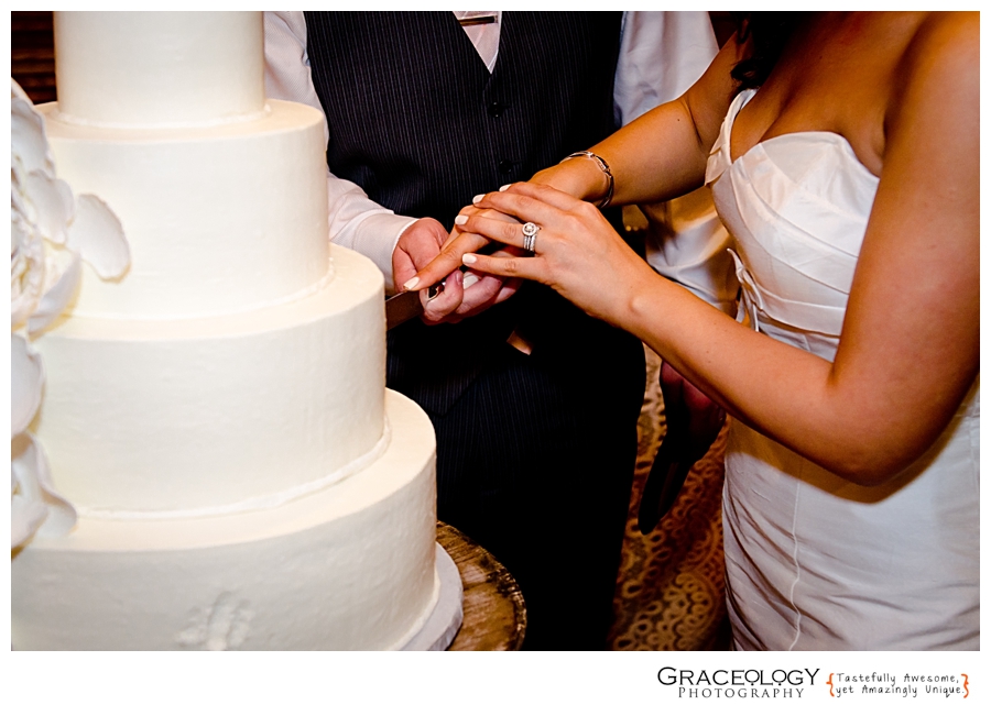 Shelia + Daniel | By Graceology Photography | As Seen On Occasions Online