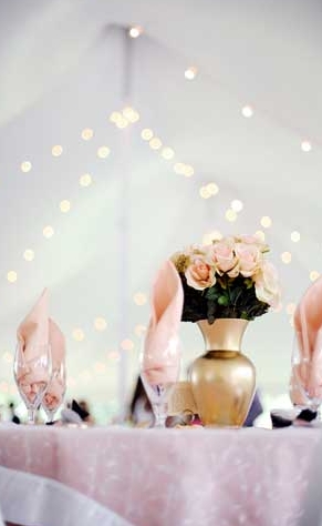 Chris and Allie's Pretty Pink and Gold Wedding
