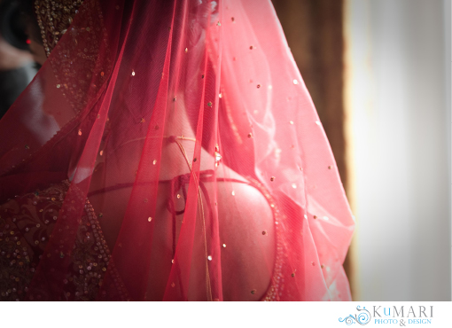 Featured Fusion Wedding : Meera & Chad II