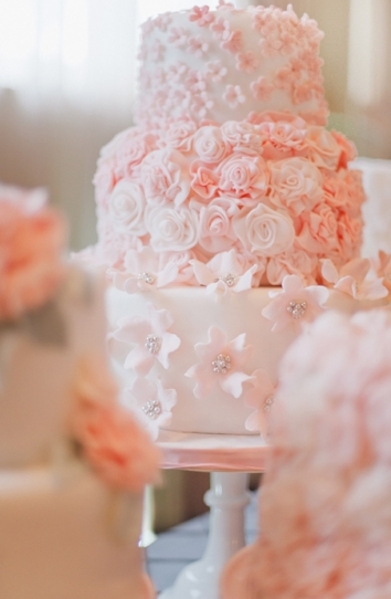Elegant Pink and Gray Wedding