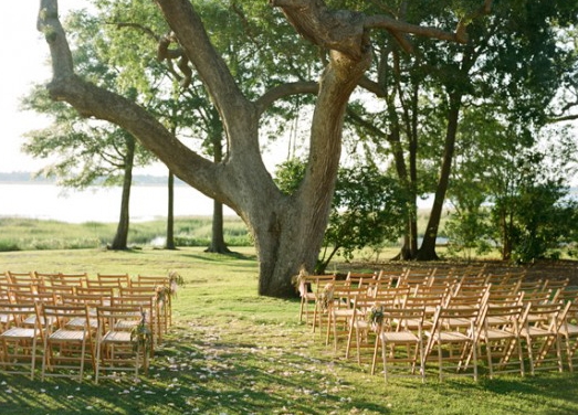 Why You Should Get Married In Charleston, SC