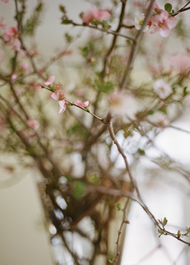 Traditional Spring Blossom Wedding from Olivia Griffin