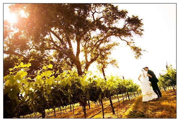Inspired by: My Wine Country Wedding