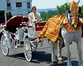 Indian Wedding Traditions : Arrival of the Baraat