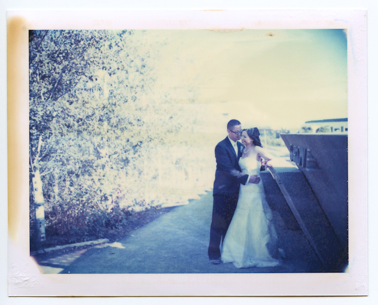 Purple and Blue Seattle Zoo Wedding {Part 2}