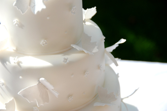 A Feast for Your Eyes: Oh So Pretty Wedding Cakes & Cookies