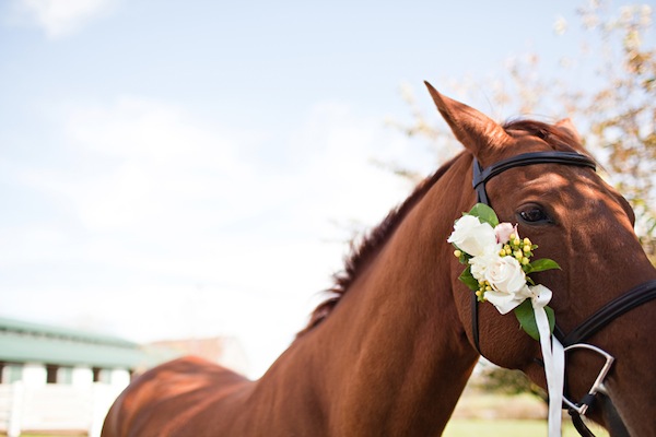 Chic & Classy Equestrian Themed Kentucky Wedding