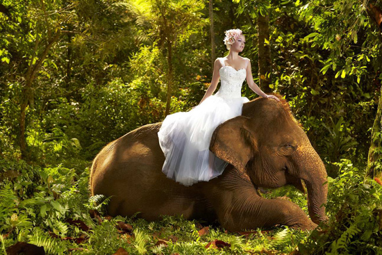 Farah Almasi Couture Queen of The Jungle Collection