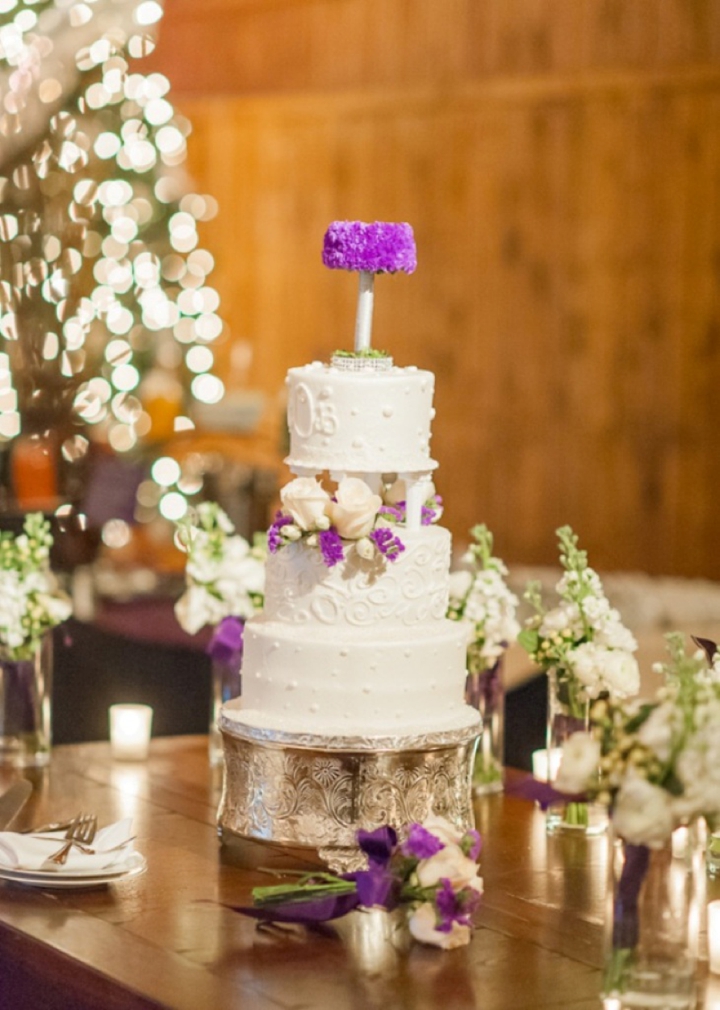 Purple and Silver North Carolina Winter Wedding