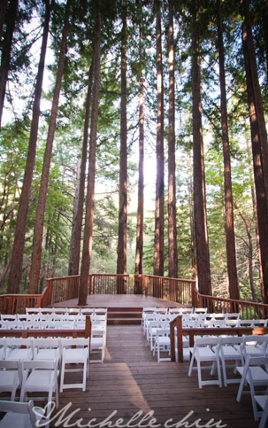 A Whimsical Wedding In The Woods: Hearts, Stars & Harry Potter