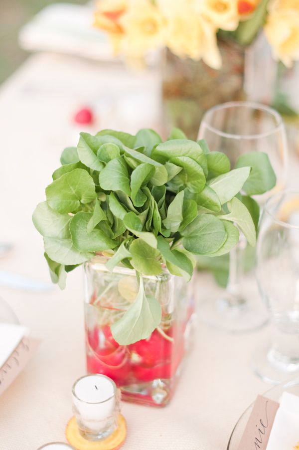 Farm to Table Inspiration  Emme Wynn Photography