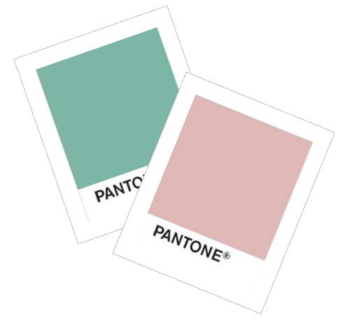 Color Inspired : Cool Mint & Blush