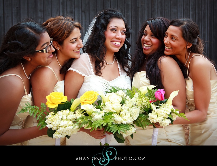 Featured Indian Wedding : Param loves Ronnie, Part I