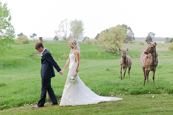 Taupo Deer Farm Wedding