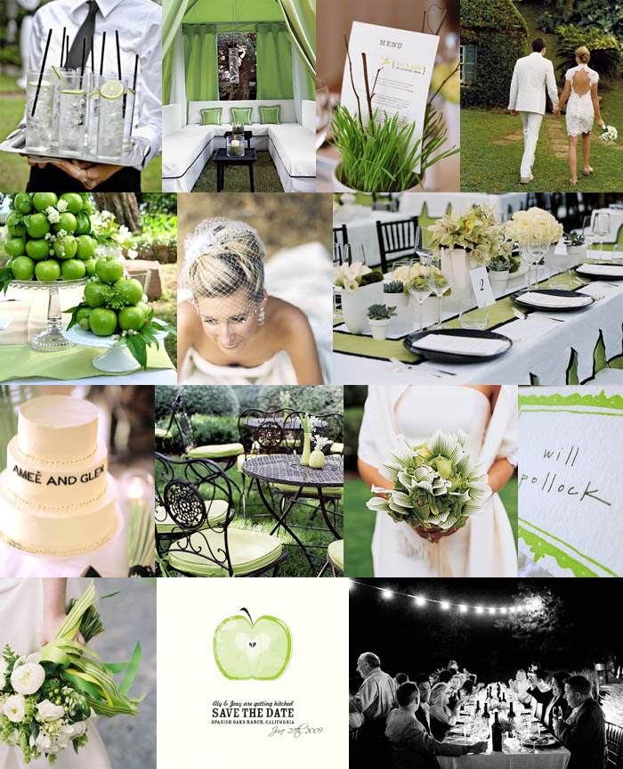 Aubrey & Tim | Apple Themed Wedding in Virginia