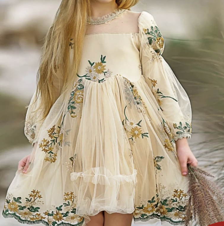 Girls Flower Embroidered Lace Dress Image 1