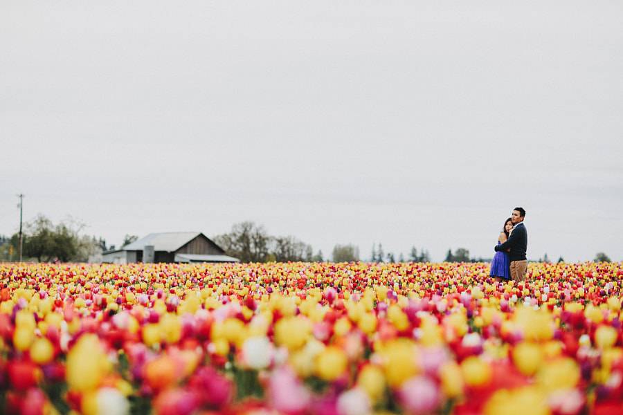 Love & Tulips by Sara K Byrne on 500px