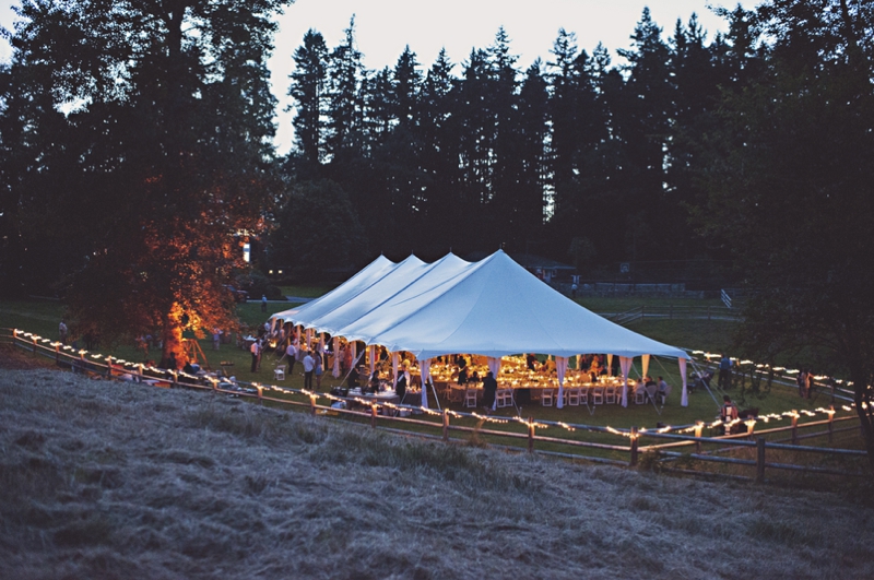 A Blue and Yellow Washington Backyard Wedding