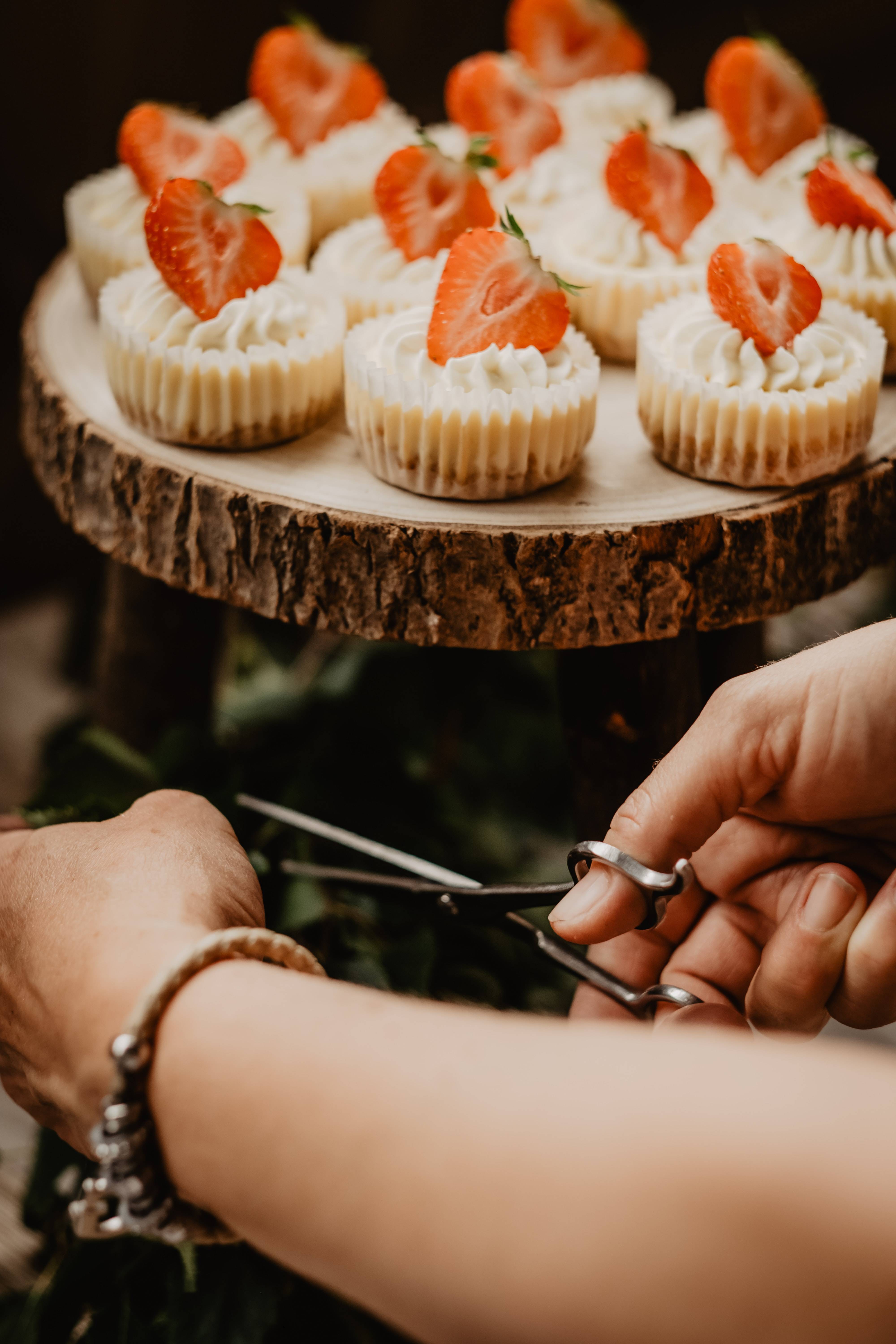 Photo by&nbsp;Victoria Priessnitz&nbsp;on&nbsp;Unsplash